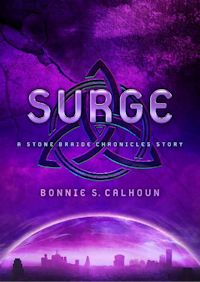 Surge: A Stone Braide Chronicle Story